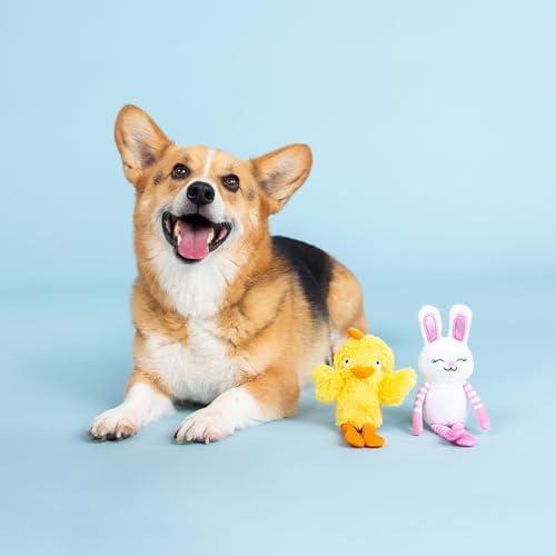 Fringe Studio Plush Dog Toy, 2 Pieces Set, Hoppy GO CLUCKY, Petshop Collection (312064) - Image 2