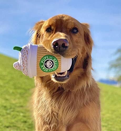Nestpark Parody Star Pups Coffee Dog Toy Pup'kin Spice Latte - Funny Plush Squeaky Crinkle Dog Toys for Medium, Small and Large for Dog Birthday - Image 3
