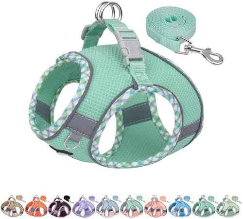 AIITLE Dog Harness and Leash Set with Breathable Mesh, Turquoise M by AIITLE-FORPETSBETTERLIFE