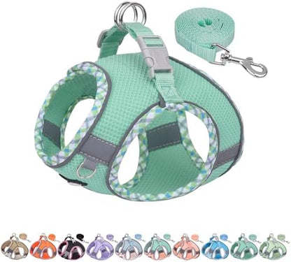 AIITLE Dog Harness and Leash Set with Breathable Mesh, Turquoise M by AIITLE-FORPETSBETTERLIFE