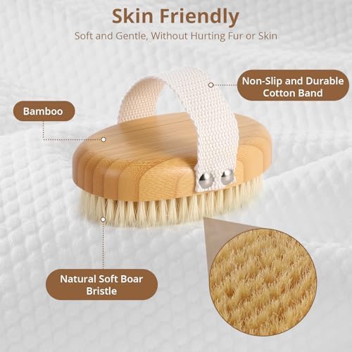 Boar Bristle Cat Brush for Indoor Cats, Cat Hair Brush Gentle Grooming, Reduce Shedding, Soft Hair and Healthy Shine, Bamboo Handheld with Soft Boar Bristles and Band for Short Haired Cats Dogs - Image 5