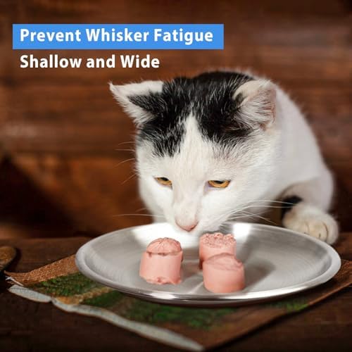 Stainless Steel Cat Dishes for Food and Water Bowls for Kittens and Baby Cats Small Pets Relief of Whisker Fatigue -2 Sets Shallow Style - Image 6