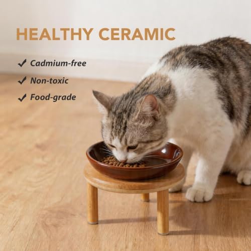 Havniva Elevated Cat Bowls, Ceramic Cat Bowl with Bamboo Stand Wide Opening - Image 5