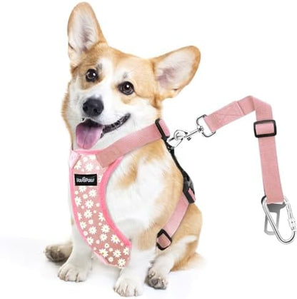 VavoPaw Dog Seat Belt, Safety Vest Dog Car Harness with Adjustable Buckle Dog Seat Belt for Vehicle Nylon Pet Safety Seat Belts Heavy Duty(M, Pink Daisy) by VavoPaw