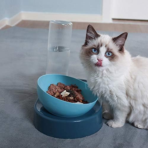JiangYanus Dog Bowls, 0°-15°Adjustable Tilted Cat Food and Water Bowl Set - Image 6