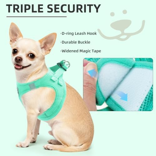 PUPTECK Dog Harness, Collar and Leash Set No Pull for Small Medium Sized - Image 5
