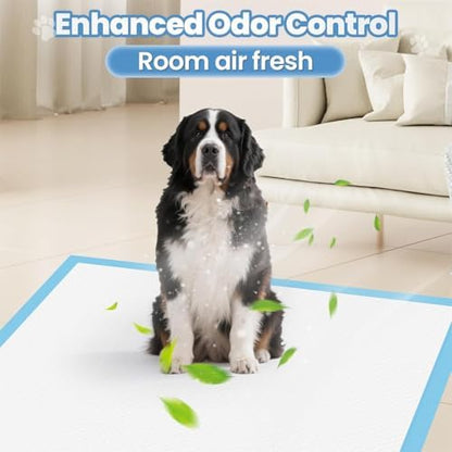 10 Count Dog Cat Puppy Pee Pads,24"x36" Super Absorbent Puppy Pads Leakproof Quick-Dry Disposable Pet Pads for Puppies, Dogs Cats Indoor, Outdoor, Housebreaking Use - Image 6