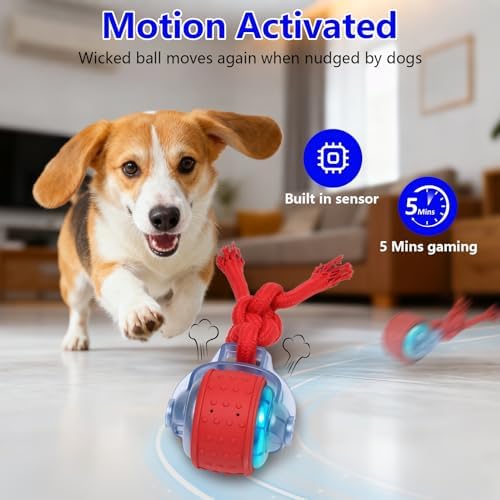 Oxawo Interactive Dog Toys Pet Busy Balls Moving Wiggles Ball - Image 3