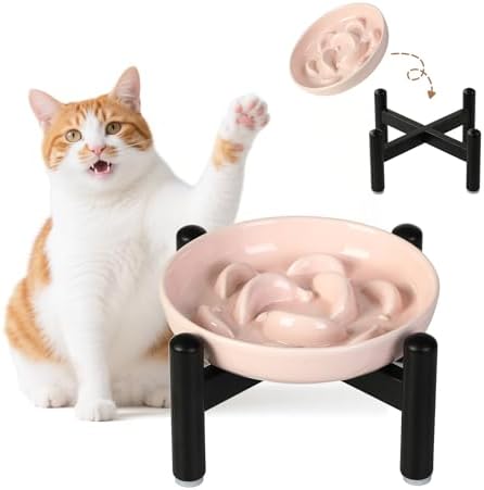 Elevated Ceramic Slow Feeder Cat Bowl, 6.3'' Wide Whisker Friendly by PTOBER