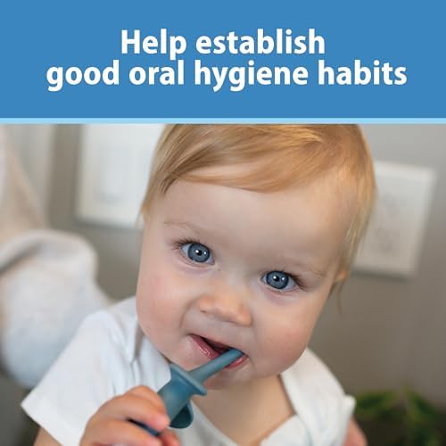 Dr. Brown's Infant-to-Toddler Toothbrush, Blue Elephant, 0-3 Years - Image 6