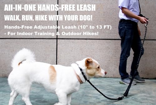 Heavy Duty Hands Free No Pull Bungee Leash 13ft Black Large Dogs - Image 2