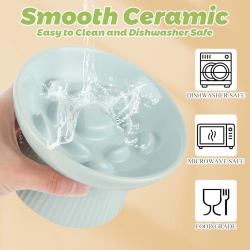 ABuff 2 Pack Raised Cat Slow Feeder, Elevated Slow Feed Dish for Cats and Small Dogs, Ceramic Slow Feeder Cat Bowl, No Spill High Edge for Dry/Wet Food(Blue, Green) - Image 3