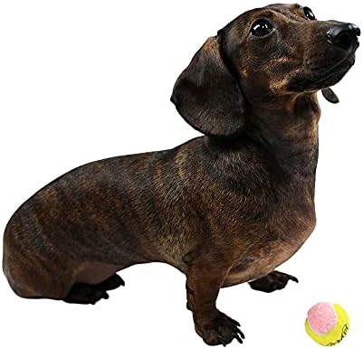 Midlee X-Small Dog Tennis Balls 1.5" Pack of 12 - Image 2
