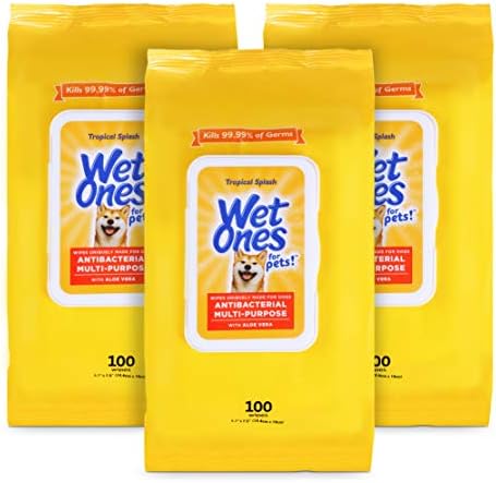 Wet Ones for Pets Multipurpose Dog Wipes, Tropical Splash, 100 Count, 3-Pk by WetOnes
