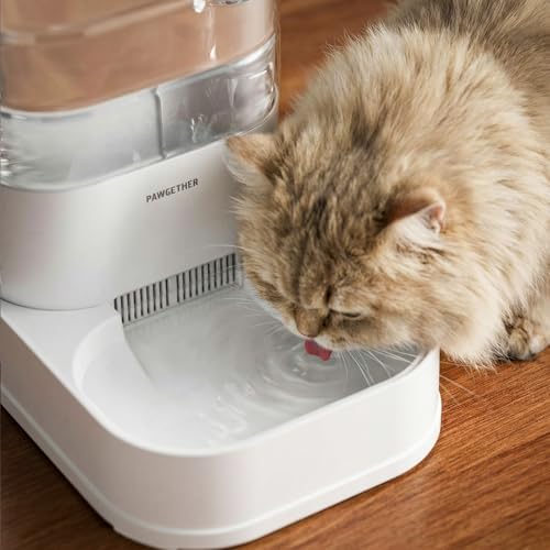 PAWGETHER® 6Pack Filters for PAWGETHER Gravity Pet Water Dispenser Cat Waterer Filter Keep Water Fresh and Clean - Image 2