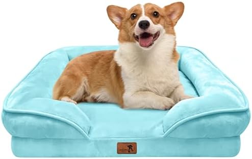 Spotted Play Orthopedic Dog Bed with Sides - Sofa Beds for Medium Dogs, Supportive Foam Pet Couch Bed with Washable Removable Cover, Waterproof Lining and Non-Slip Bottom, Ice Blue - M by Spotted+Play