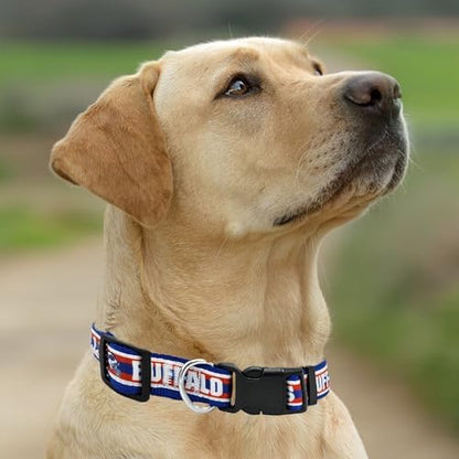 New & Improved Pets First NFL Licensed PET Collar- Heavy-Duty, Strong, and Durable New Dog Collar. Available in 32 Football Teams and 4 Sizes - Image 5