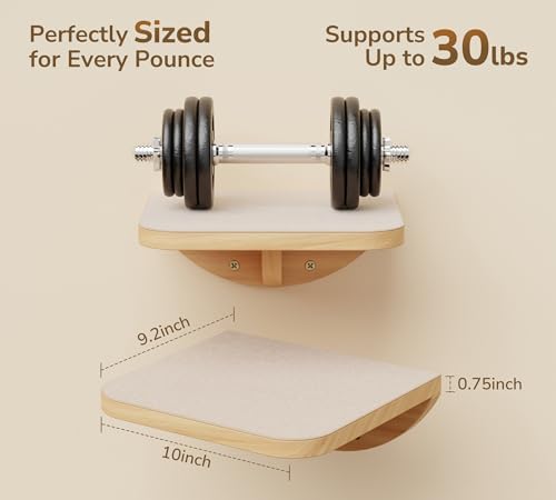 Cat Wall Shelves with Sisal Pads, 4-Piece Wooden Cats Furniture Set with Cat Window Perch, Flat Shelf & Sisal-Clad Steps for Climbing and Scratching - Image 5