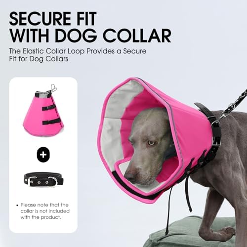 Soft Dog Cone Collar, Adjustable Cone for Dogs to Stop Licking - Image 4