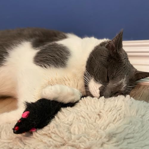 SPOT Shaggy Plush Ferret - Interactive Rattle and Catnip Fuzzy Toy for Indoor Cats and Kittens, Large Size Perfect for Pouncing, Chasing, Hunting, 11 Inches (Pack of 2) - Image 6