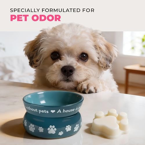 Pink Sugar Spring and Summer Wax Melts Plant-Based Wax, Pet House - Image 6