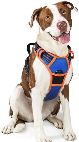 rabbitgoo Dog Harness, No Pull for Large Dogs with 2 Leash Clips, Pet Vest by rabbitgoo