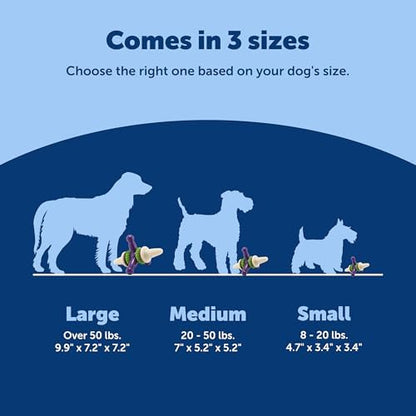 PetSafe Busy Buddy Jack - Treat Holding Dog Chew Toys - Helps Clean Teeth - Vanilla Scented Rubber for Strong Chewers - Treat Refills Included - Interactive Dog Toy Keeps Dogs Busy - Purple, Large - Image 5