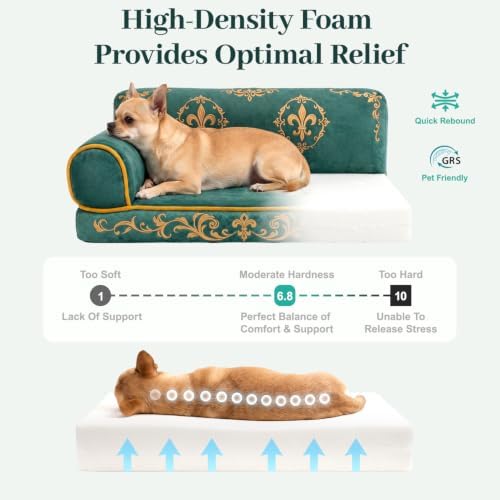Luxury Cat Couch Bed, Orthopedic Pet Sofa, 24 Inch - Image 3