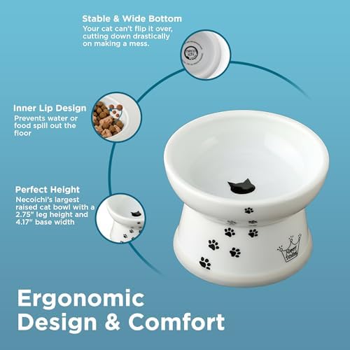 Necoichi Ceramic Elevated Cat Food Bowl, Whisker-Friendly (Cats, Regular) - Image 6