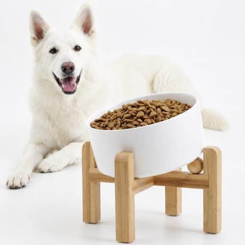 Petygooing White Elevated/Raised 15° Slanted Ceramic Dog Bowl for Large and Medium Breeds, Pet Anti Slip Feeding Bowl,Food Water Dish with Stand for Large and Medium Dogs (60 OZ / 7.6 Cup) by PetygooingforYOURLOVEDPET