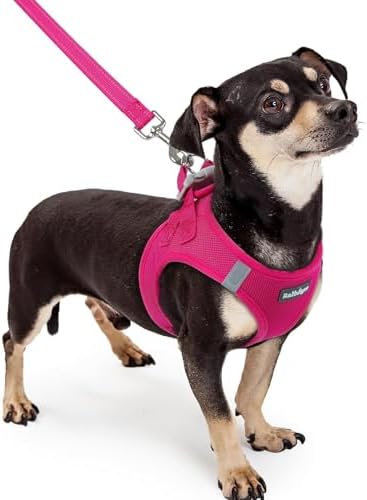 rabbitgoo Dog Harness Small Sized and Leash Set, Step-in Puppy Pet Vest by rabbitgoo