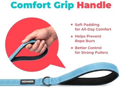 Best Pet Supplies Voyager Nylon Dog Leash - Baby Blue, Small - Image 5