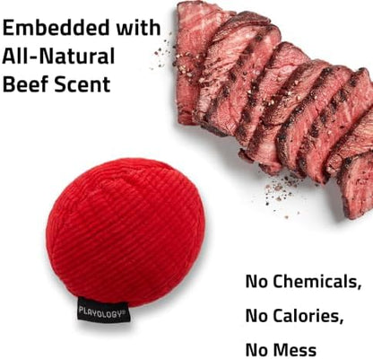 Playology Durable Plush Ball Toy - Crinkle Ball - Jumbo, Beef Scent - Image 4