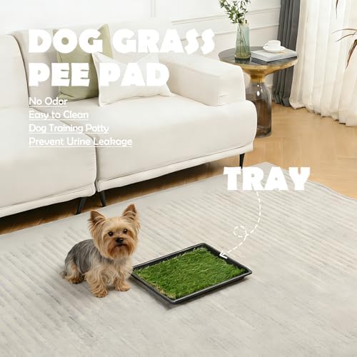 MEEXPAWS Dog Grass Pee Pads for Dogs with Tray | Extra Small 17 x 13 in for Puppy Less Than 6 lbs | 2× Artificial Grass Pads Replacement | Rapid Drainage | Indoor Dog Litter Box | Hemmed Edge - Image 2