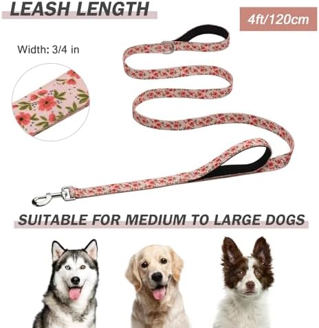 Hikiko 4FT Dog Leash Padded Double Handle with Designed Pattern - Image 3