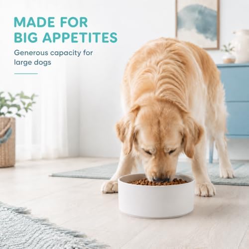 Havniva Ceramic Dog Bowls, 8.3” Dog Food and Water Bowl, Pet Feeding Bowl - Image 6
