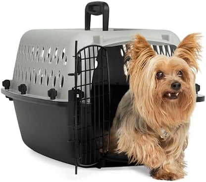 EveryYay by Petco Portable Plastic Pet Kennel 19" L X 13" W X 11" H Grey