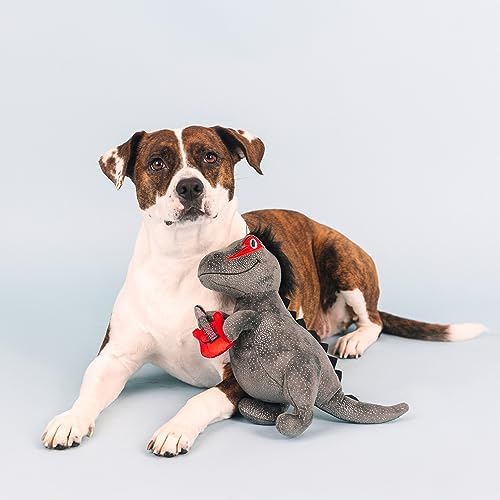 Fringe Studio Plush Dog Toy, Rocker Rex, Pet Shop Collection (314214) - Image 3
