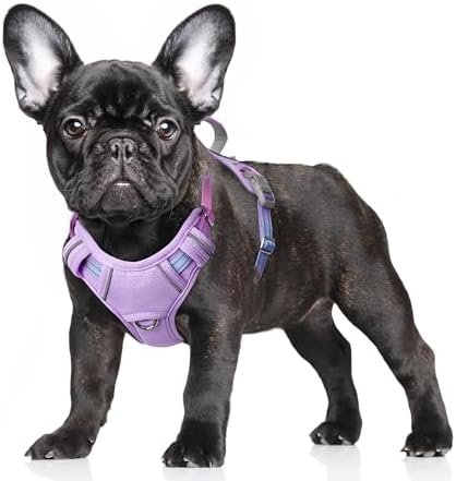 BARKBAY Dog Harness for Small Sized Dog No Pull Dog Vest ID Tag Pocket by BARKBAY