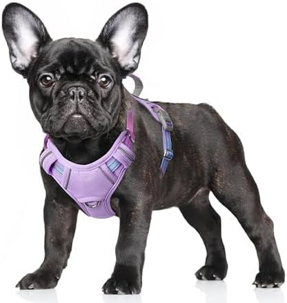BARKBAY Dog Harness for Small Sized Dog No Pull Dog Vest ID Tag Pocket by BARKBAY