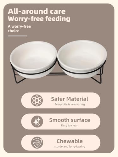 GDCZ Elevated 15 Oz Ceramic Double Cat Bowls with 11.6x2.5 Inch Stand (White) - Image 3