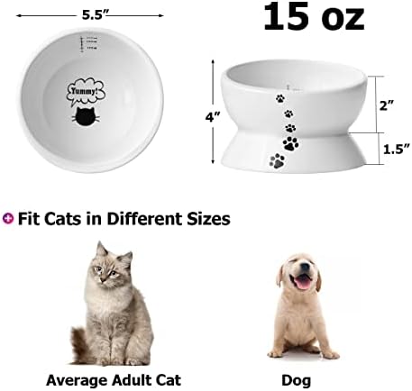 Y YHY Elevated Cat Food Bowl, Raised Food and Water Bowl for Cat and Small Dog, Tilted Ceramic Water Bowls No Spill,15oz, Dishwasher Safe - Image 3