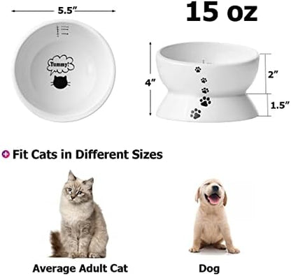 Y YHY Elevated Cat Food Bowl, Raised Food and Water Bowl for Cat and Small Dog, Tilted Ceramic Water Bowls No Spill,15oz, Dishwasher Safe - Image 3