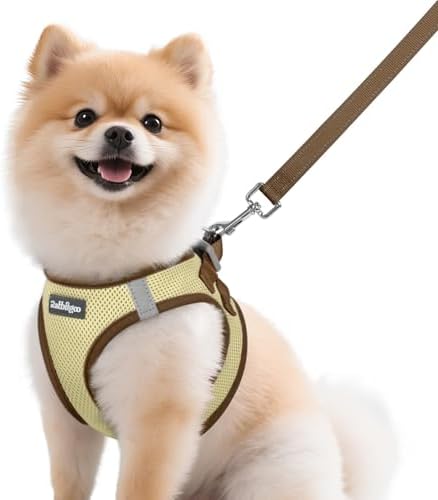 rabbitgoo Dog Harness Small Sized and Leash Set, Step in Soft Vest by rabbitgoo