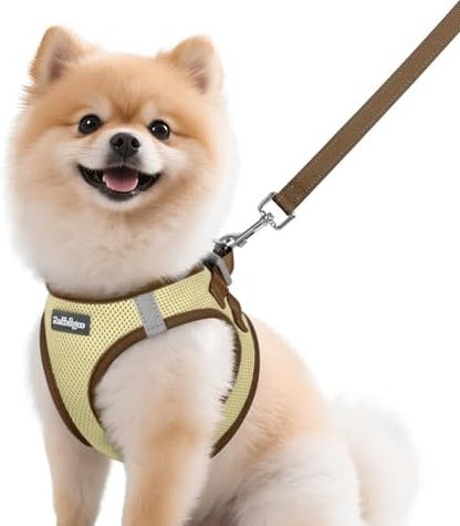 rabbitgoo Dog Harness Small Sized and Leash Set, Step in Soft Vest by rabbitgoo