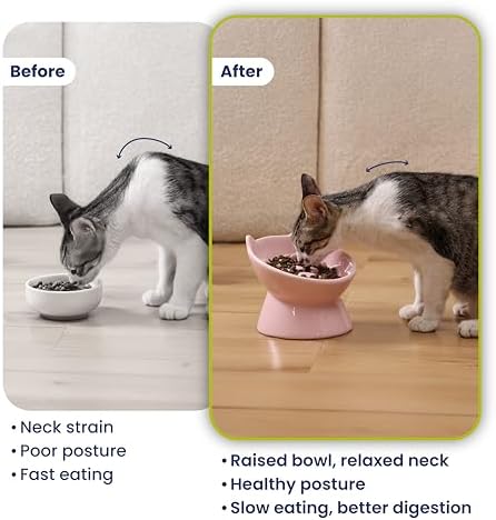 PawsPik Lynx Ceramic Raised Slow Dog & Cat Elevated Food Bowl, Quartz Pink - Image 5
