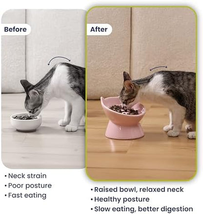 PawsPik Lynx Ceramic Raised Slow Dog & Cat Elevated Food Bowl, Quartz Pink - Image 5
