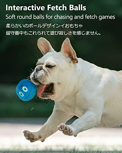 SCHITEC Squeaky Dog Toys, [6 Pack] Soft Stuffed Plush Balls with Squeakers, Interactive Fetch Play for Puppy Small Pets - Image 4