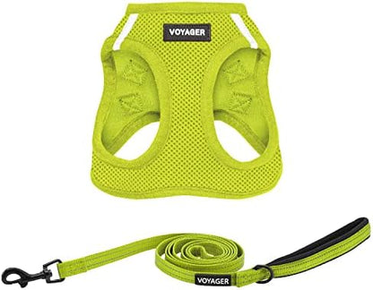 Best Pet Supplies Voyager Step-in Air All Weather Mesh Harness and Reflective Dog 5ft Leash Combo with Neoprene Handle, for Small, Medium and Large Breed Puppies - Lime Green, XXX-Small by BestPetSuppliesLLC