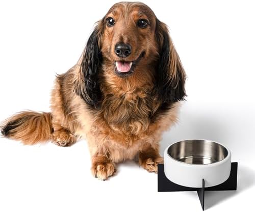 DBL3000E Intersecta Small/Medium Concrete and Stainless Steel Bowl 16oz (2 Cups) with Metal Stand Pet Feeder, White/Black - Image 6
